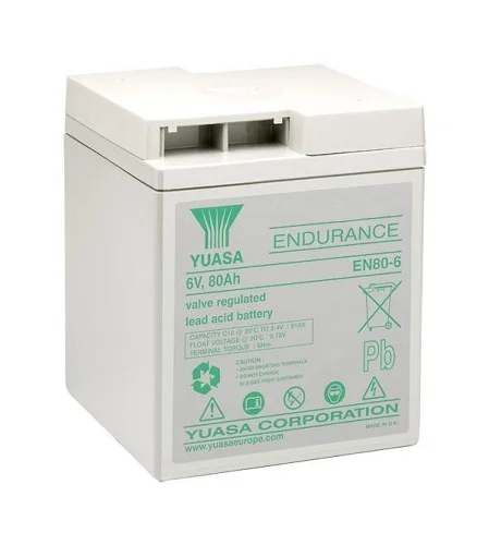 Yuasa EN80-6 81Ah 6V Battery